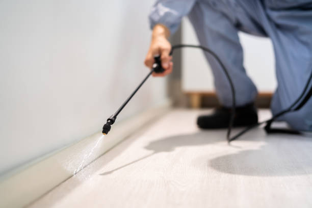 Licensed Termite Control service in Toppers, OK - Nex Pest Control