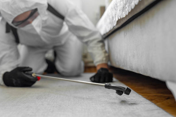 Professional Termite Control technician working in Toppers, OK