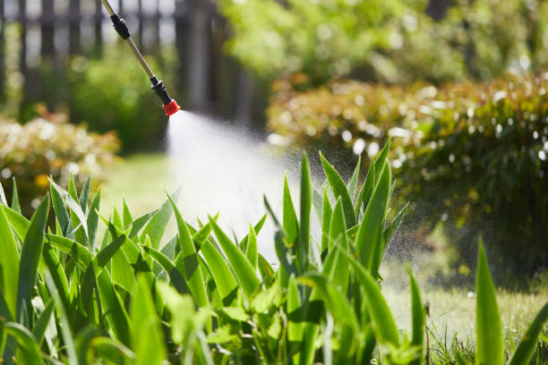 24/7 Emergency Termite Control experts in Toppers, OK