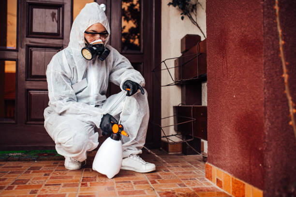 Reliable Termite Control contractor in Toppers, OK by Nex Pest Control