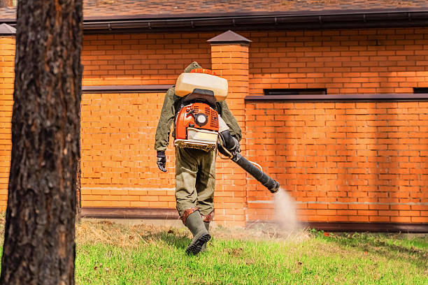 Top rated local Termite Control specialists in Toppers, OK